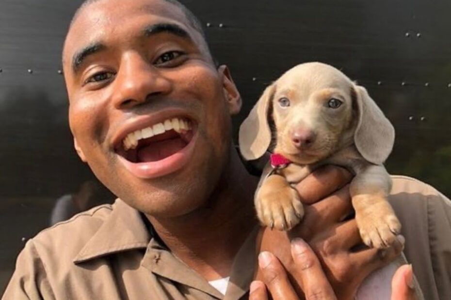 A smiling person in a brown shirt holds a small, light brown puppy with a pink collar in front of a dark background.