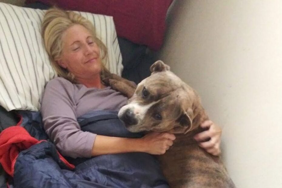 A woman lies in bed, smiling with her eyes closed, while hugging a brown and white dog that is resting on her chest.