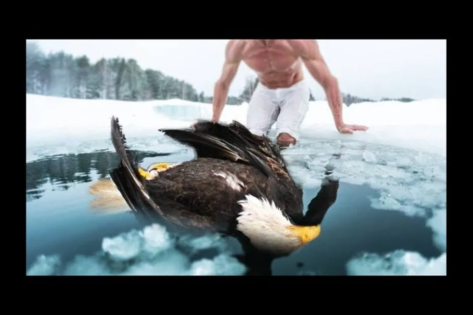 A shirtless man kneels on snow beside an ice hole, reaching toward a bald eagle partially submerged in the icy water.