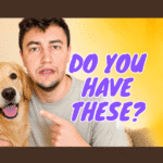 A man points at a golden retriever while sitting indoors. Text beside them reads, “DO YOU HAVE THESE?” on a bright yellow background.